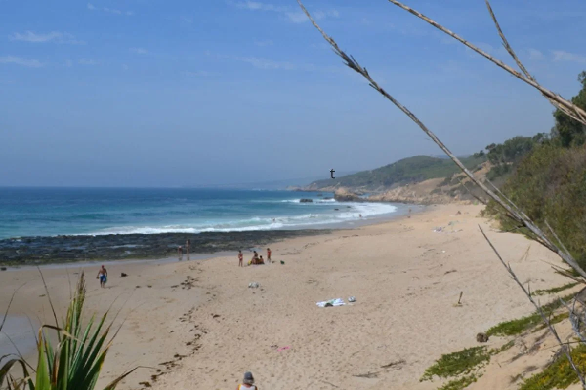 playa-punta-paloma-cañaveral