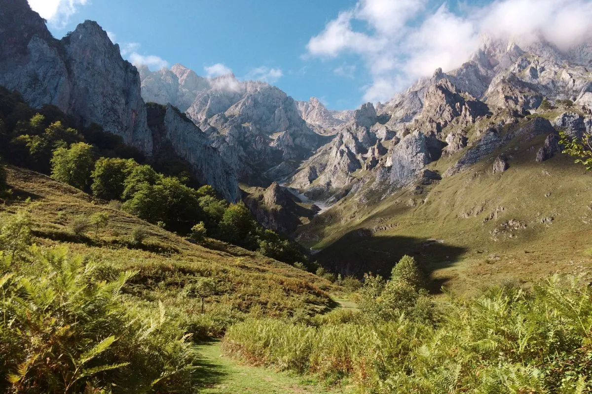 Cantabria baja