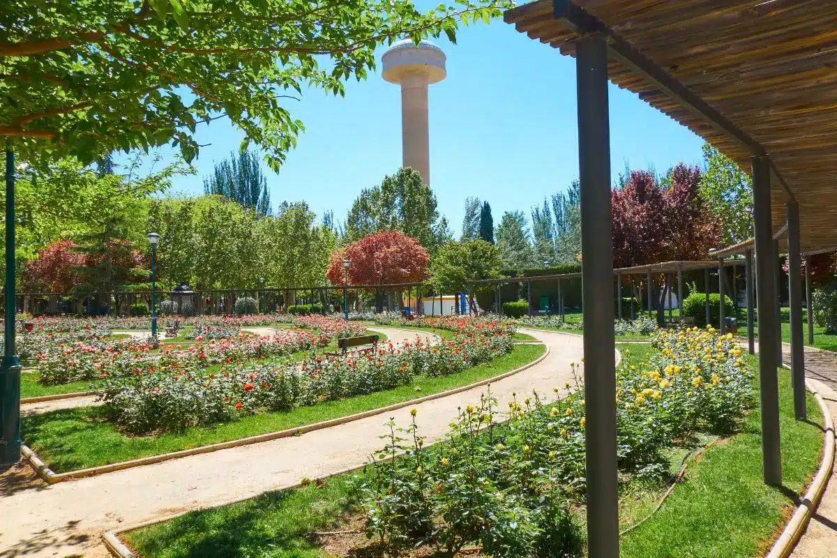 Qué ver en Albacete fiesta del arbor parque