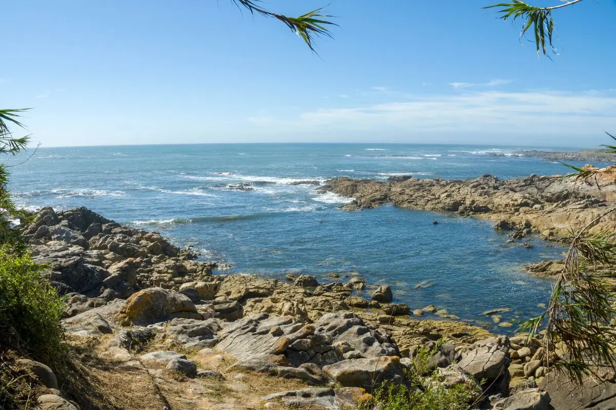 Qué ver en Pontevedra