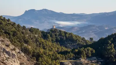 Feria de todos los santos cocentaina